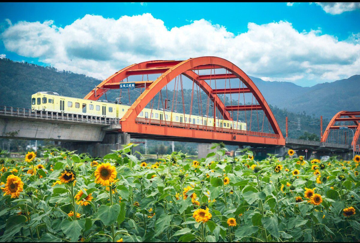 繁花盛開在花蓮!縱谷櫻花、風鈴木、油菜花百花齊爭豔! 繁花盛開在花蓮!縱谷櫻花、風鈴木、油菜花百花齊爭豔!