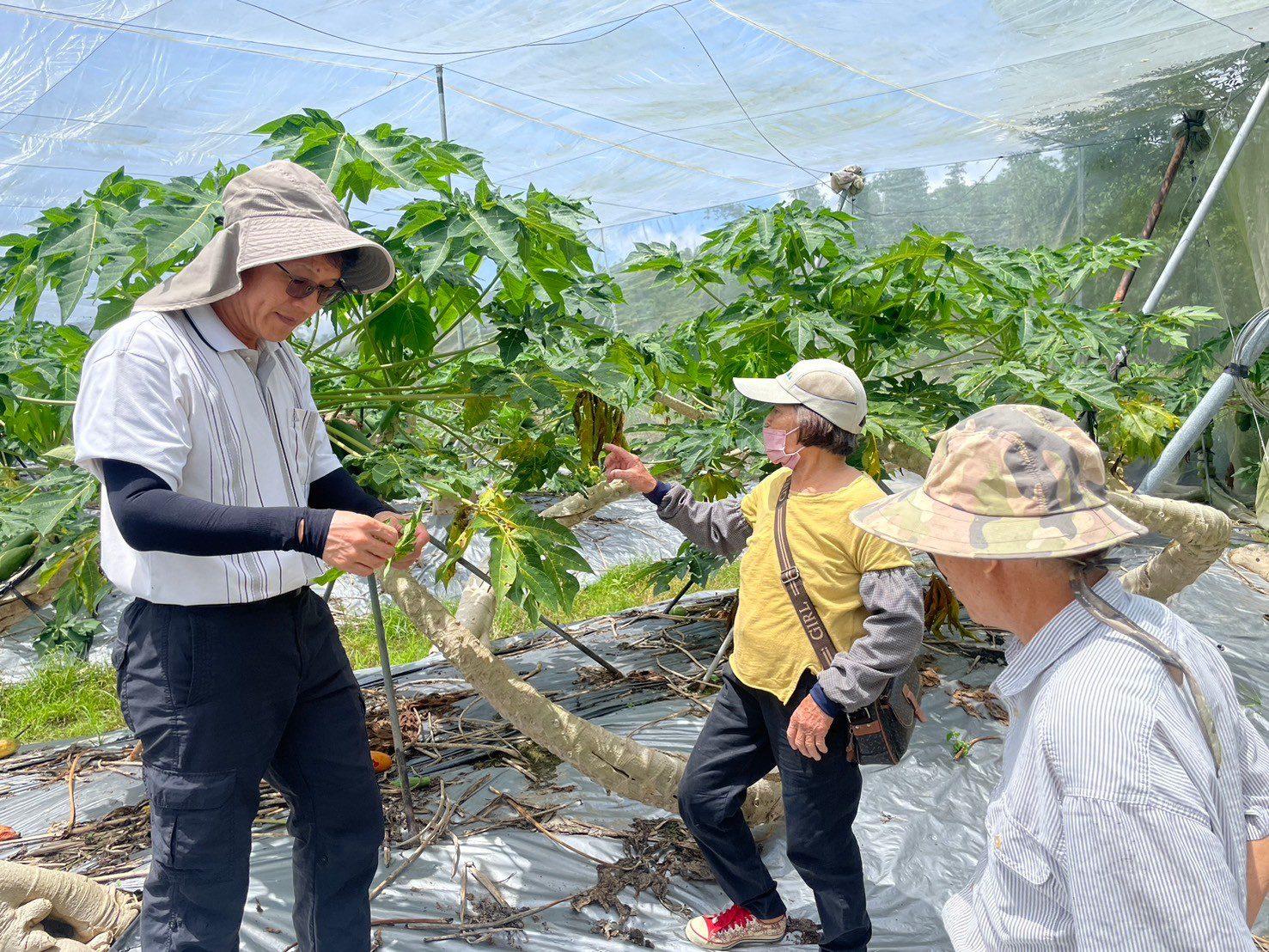致力培育產業人才 嘉大與企業攜手共創三贏 致力培育產業人才 嘉大與企業攜手共創三贏