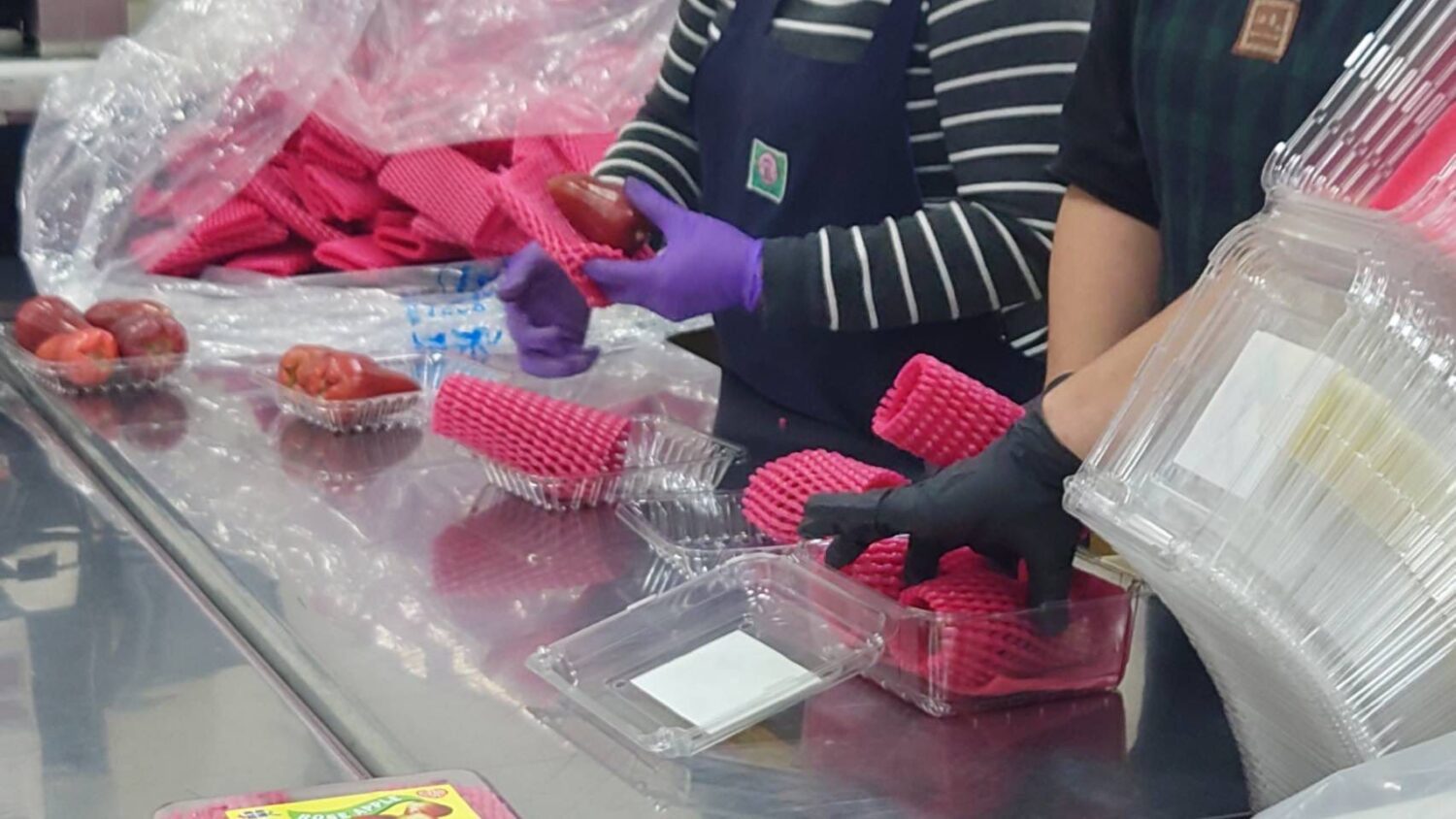 高雄農業局蜜棗試吃推廣活動傳捷報   通路首波下單出口3.2噸蓮霧