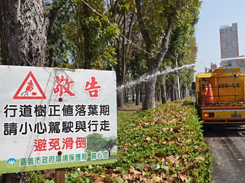 讓落葉變黃金 桃花心木落葉化作堆肥更護花 讓落葉變黃金 桃花心木落葉化作堆肥更護花