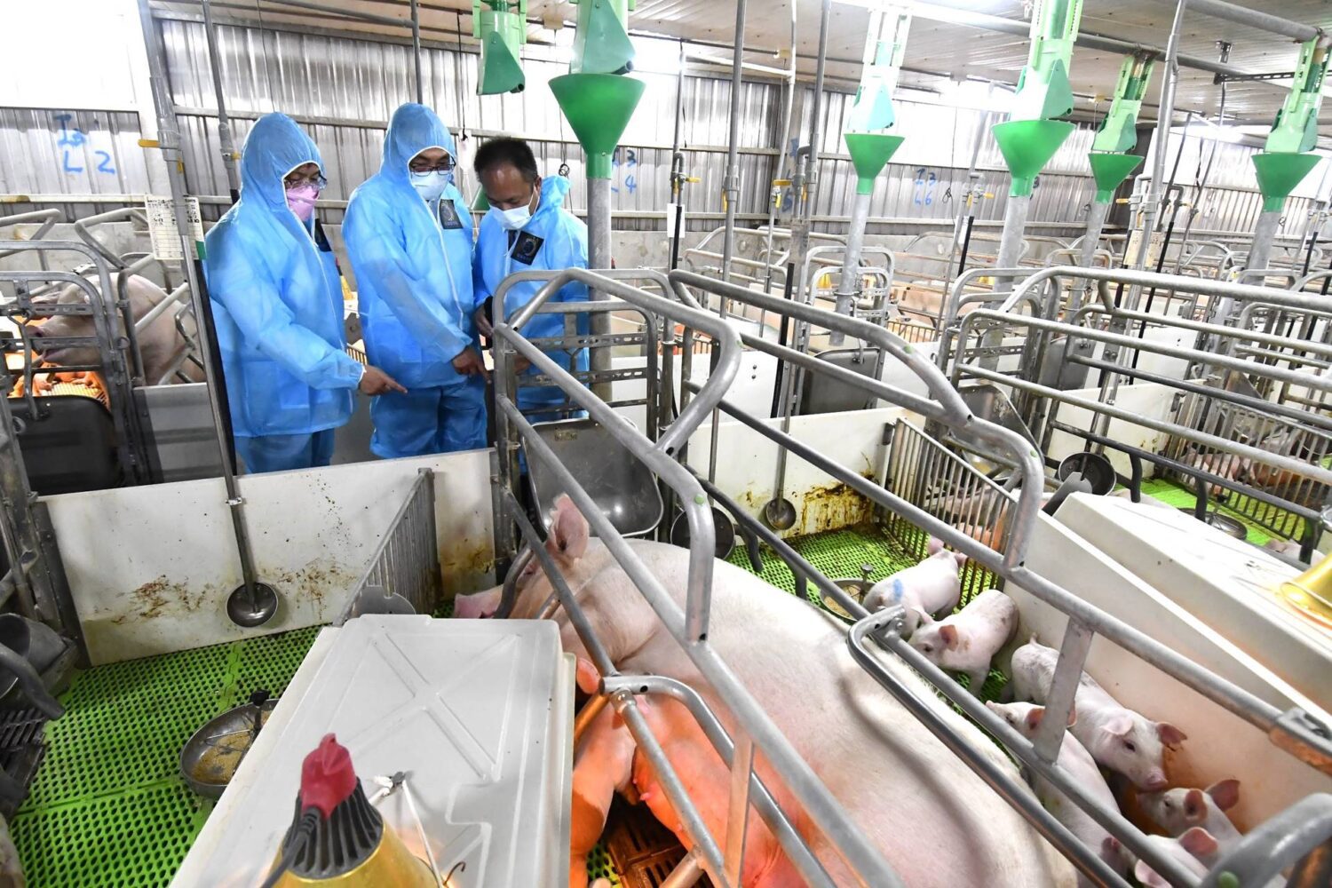 新北、彰化交流　參訪立富畜牧場及昭成蛋品加工廠