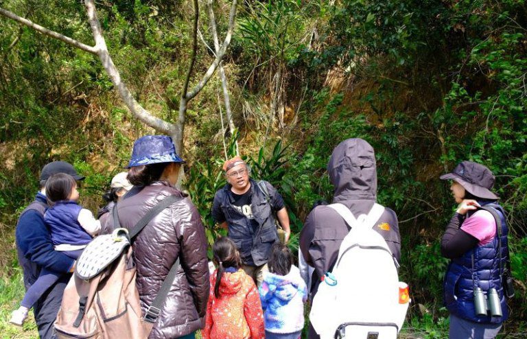 石虎現蹤! 邊際土地認養串聯國土綠網守護淺山野生動物的家 石虎現蹤! 邊際土地認養串聯國土綠網守護淺山野生動物的家