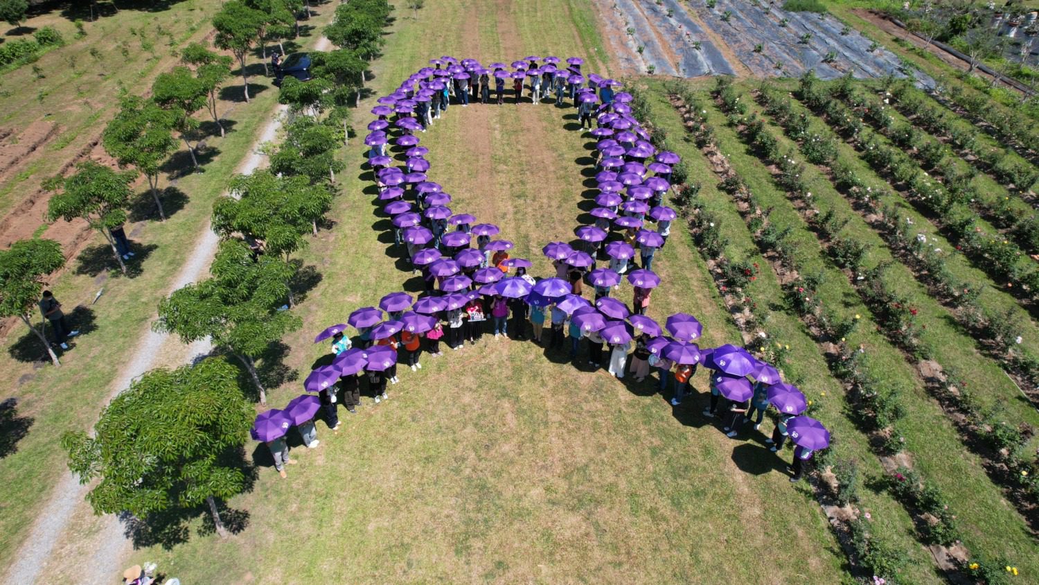 嘉義縣社工日 以『紫絲帶』合照 傳遞暴力零容忍的堅定信念與溫暖 嘉義縣社工日 以『紫絲帶』合照 傳遞暴力零容忍的堅定信念與溫暖