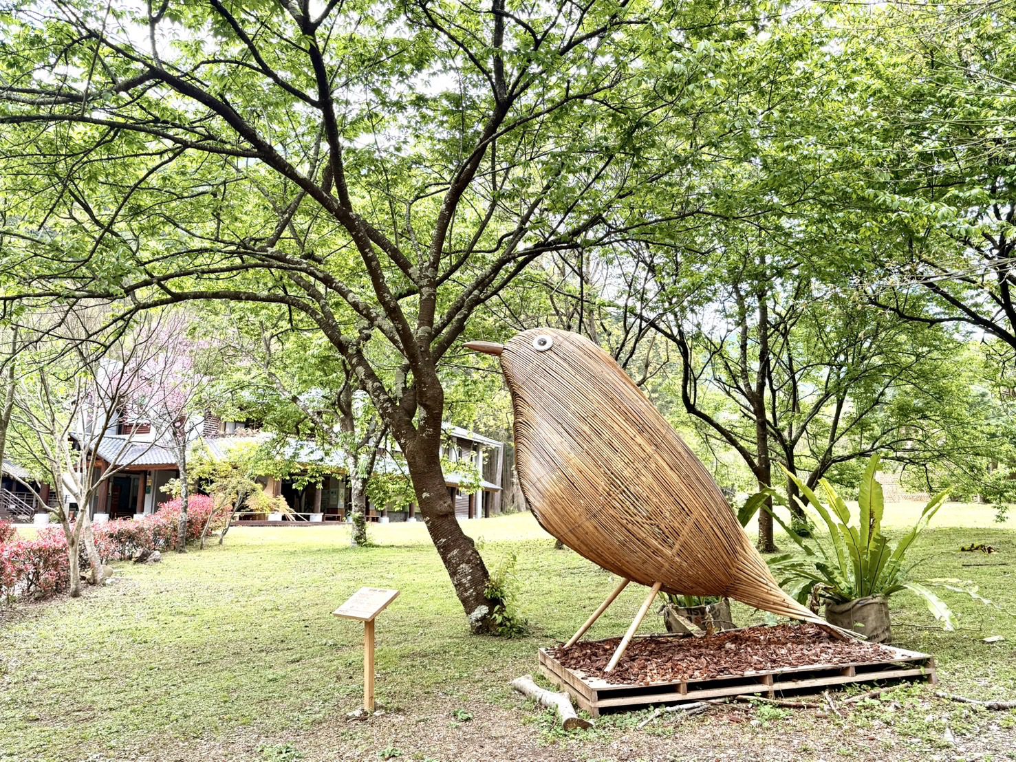 清明兒童節連續假期 奧萬大兒童免費成人半票入園 清明兒童節連續假期 奧萬大兒童免費成人半票入園