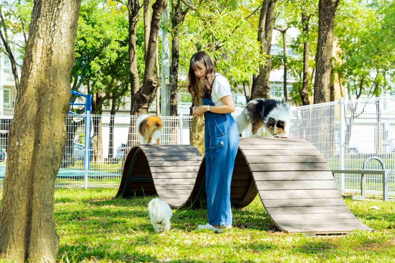 燕巢寵物區啟用   毛孩專屬天地可盡情遊玩