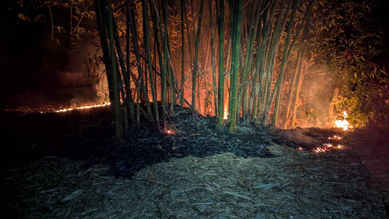 男子燃燒枝葉失控釀火災  美濃警消依涉「失火」罪送辦