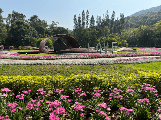 臺北玫瑰展同場加映 賞玫士林官邸也有! 臺北玫瑰展同場加映 賞玫士林官邸也有!