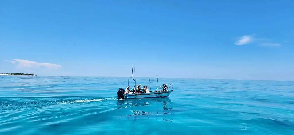 打擊違法越界採捕、守護東沙環礁 國家公園署協同海巡署加強執法 打擊違法越界採捕、守護東沙環礁 國家公園署協同海巡署加強執法