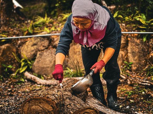 「屏實力 展特色」屏東好讚認證 展現社區亮點