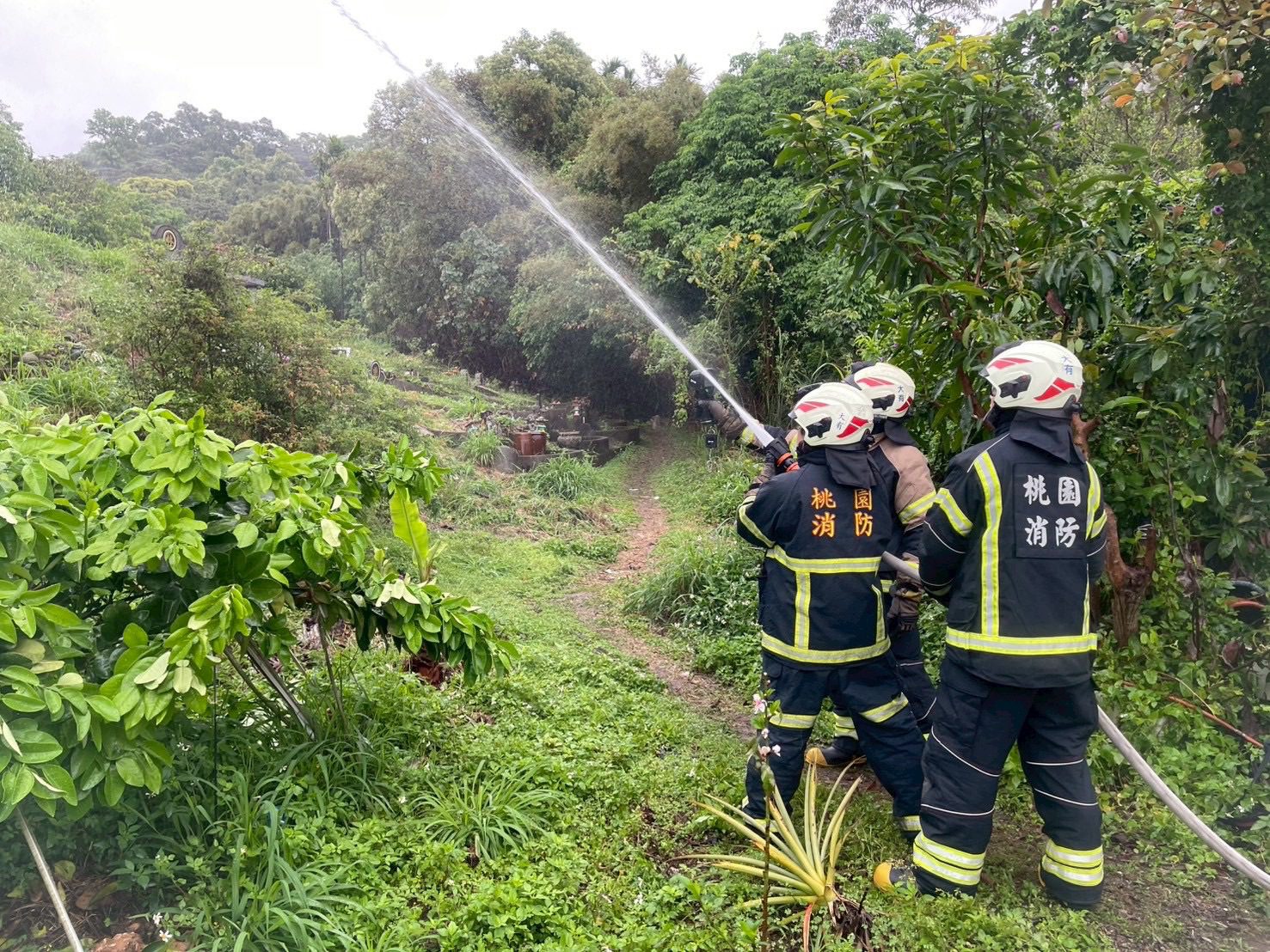 桃消大有分隊墓地火警演練登場 超前部署救災能量 桃消大有分隊墓地火警演練登場 超前部署救災能量