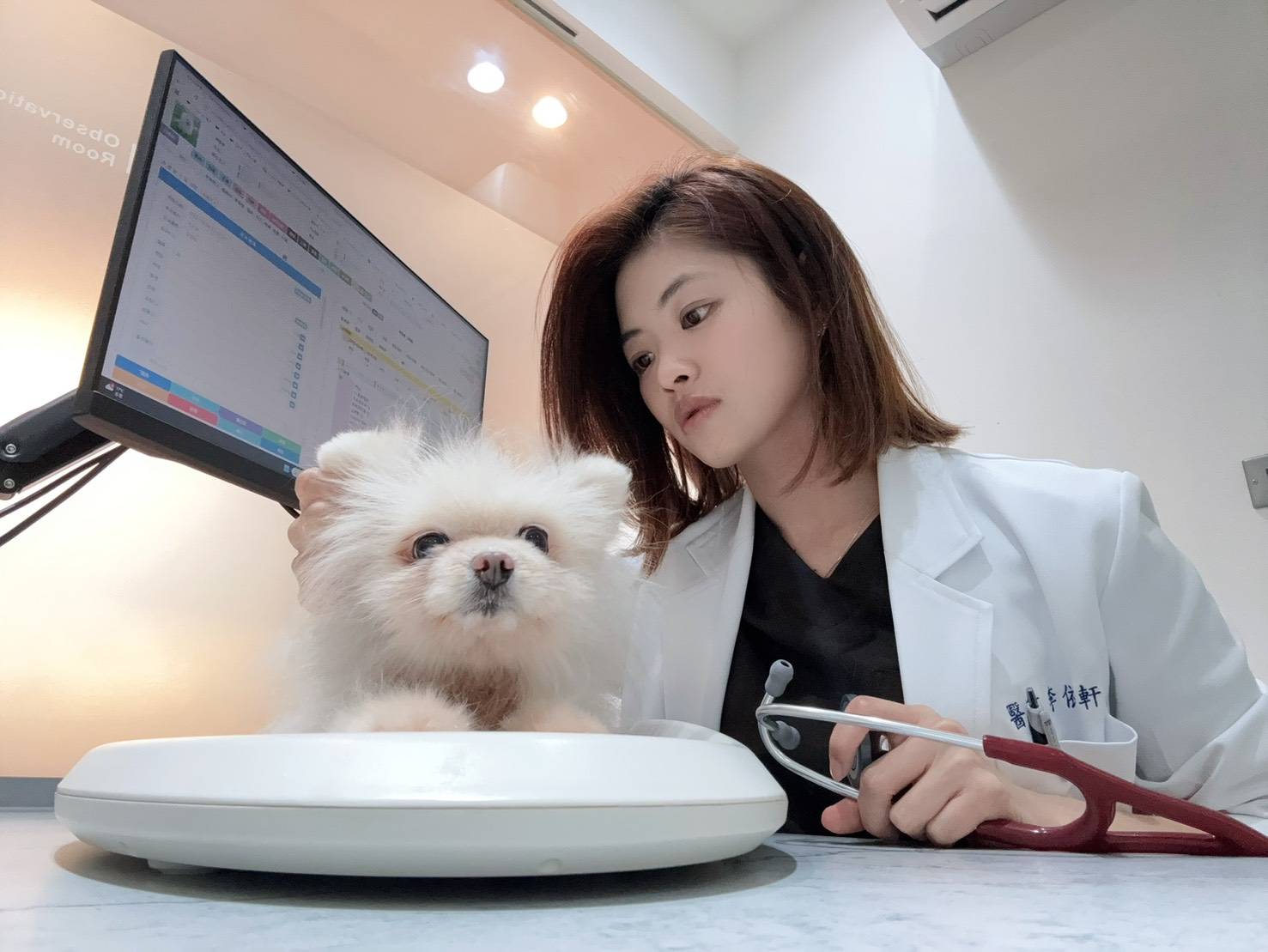 家中毛孩又受傷了！甜菜鹼可加速傷口癒合，早日恢復活力