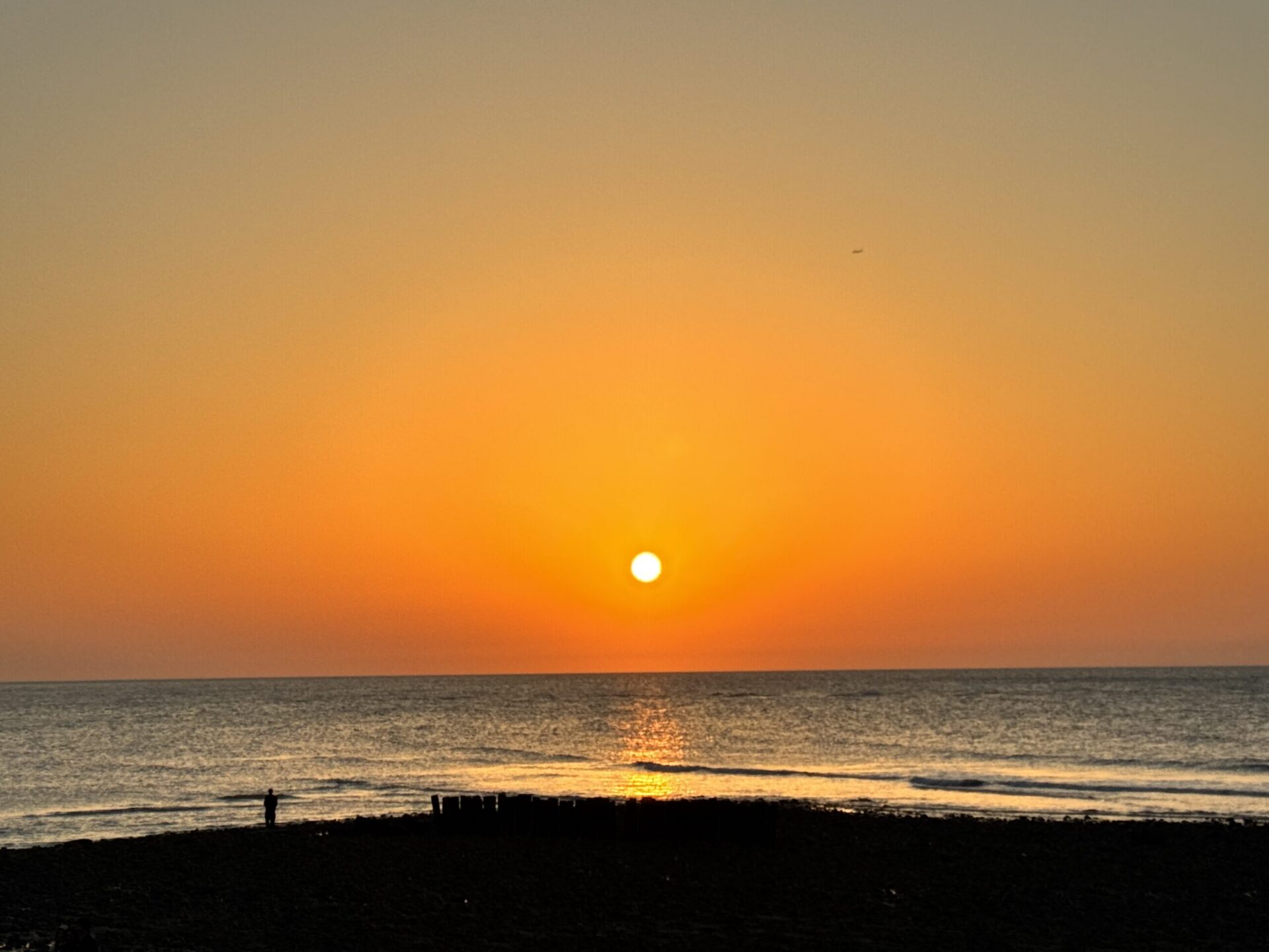 連假樂遊桃園!賞花、吃海鮮、看夜景 享受春天浪漫氛圍 連假樂遊桃園!賞花、吃海鮮、看夜景 享受春天浪漫氛圍