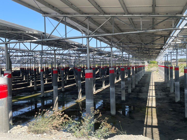 白喬茵揭高雄光電板立柱插好插滿畫面 怒問：漁電共生「魚呢」？