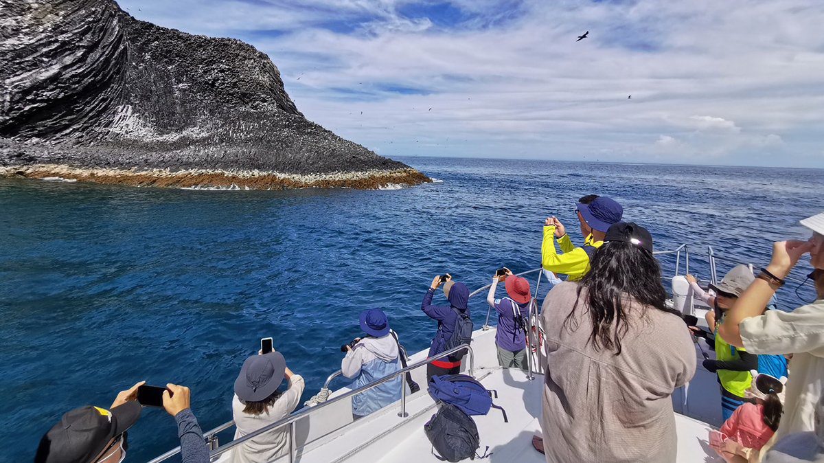 澎湖賞鷗季開跑！春季生態之旅 帶你探索天空精靈