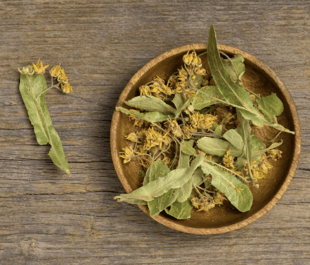 河濱公園驚見「草王」民眾搶摘採賣4千！醫：誤食恐傷肝腎