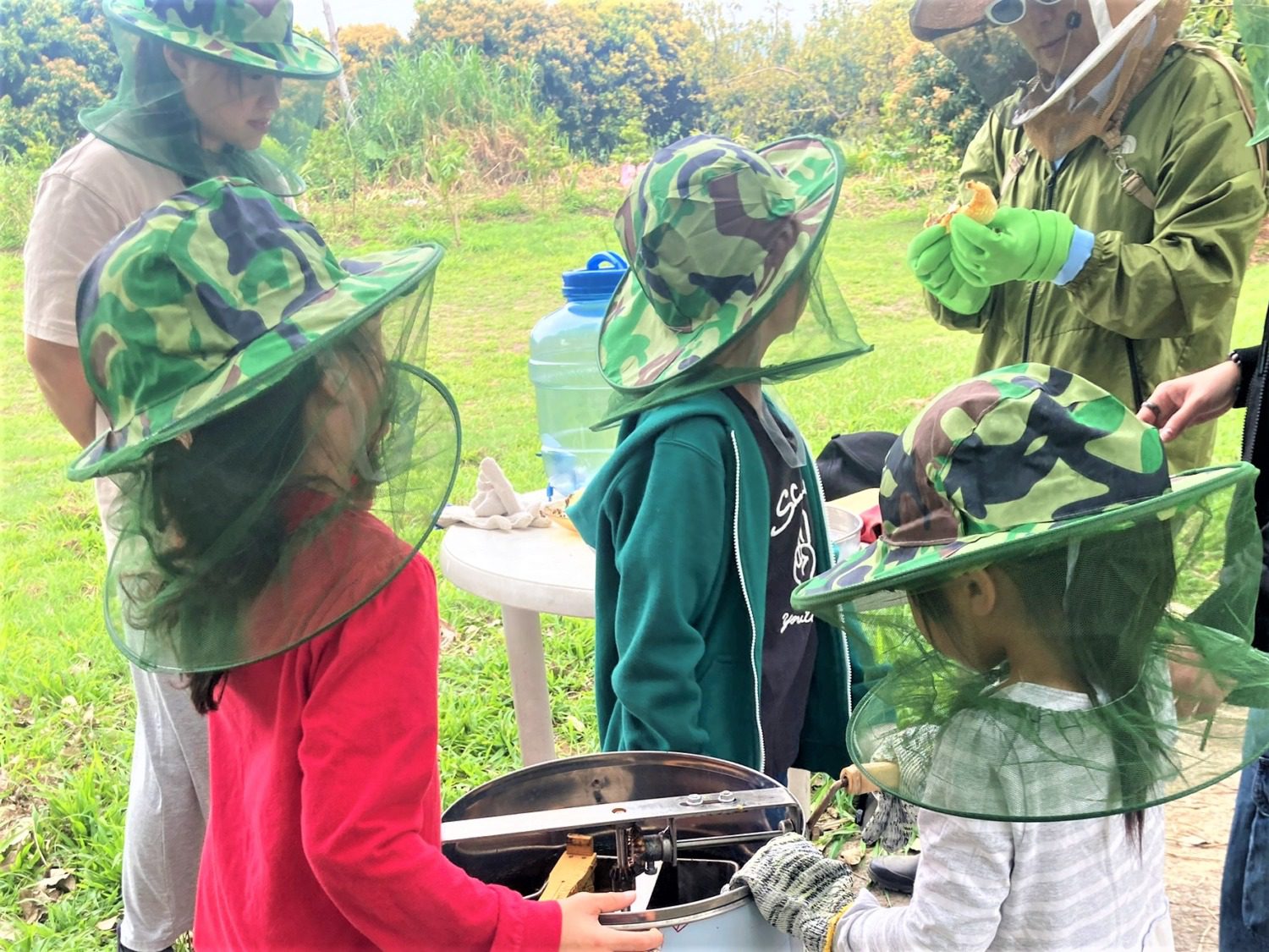 日賞大冠鷲、夜見貓頭鷹 茗謝光臨民宿生態豐富 日賞大冠鷲、夜見貓頭鷹 茗謝光臨民宿生態豐富