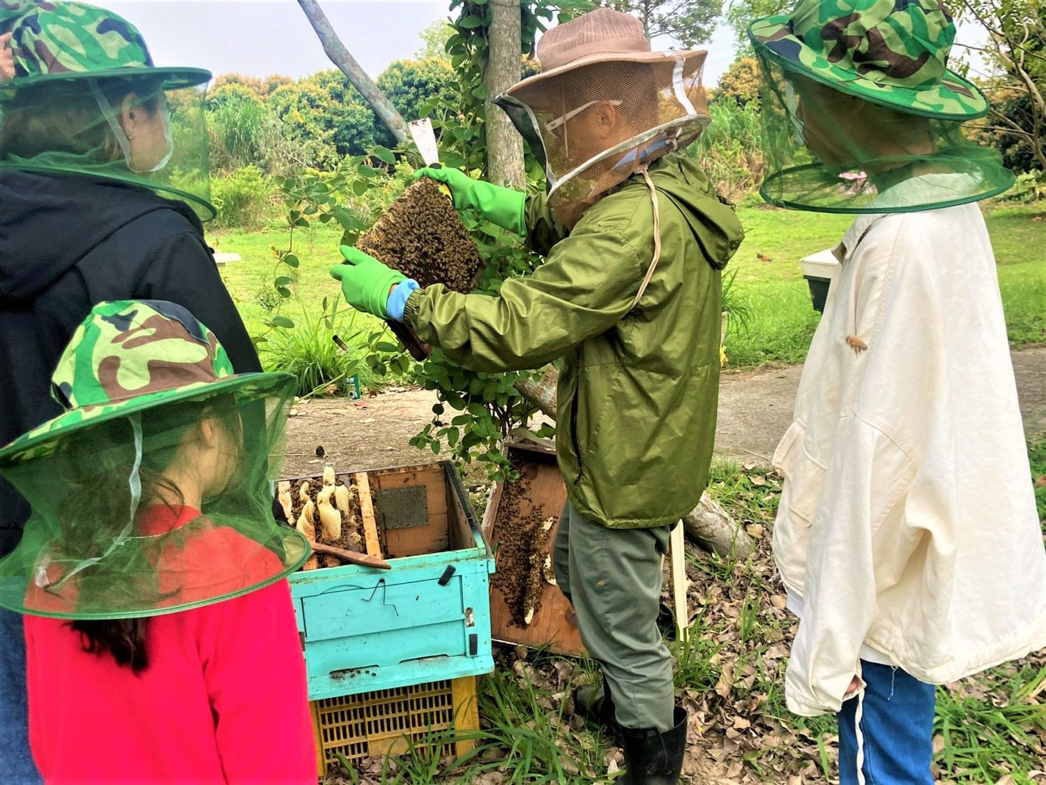 享受大自然寧靜與美麗 茗謝光臨民宿打造出溫馨且放鬆的氛圍 享受大自然寧靜與美麗 茗謝光臨民宿打造出溫馨且放鬆的氛圍