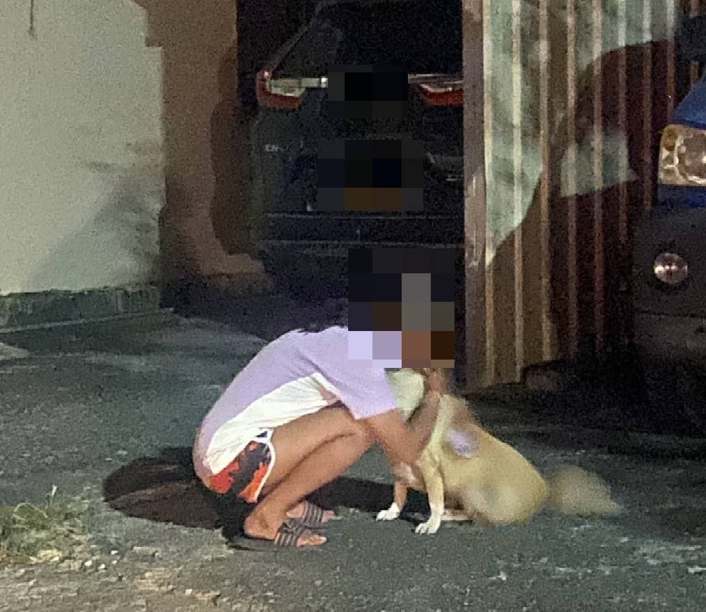 救命恩「犬」走失好心急   大武警感同身受積極協尋、人犬重逢現溫情