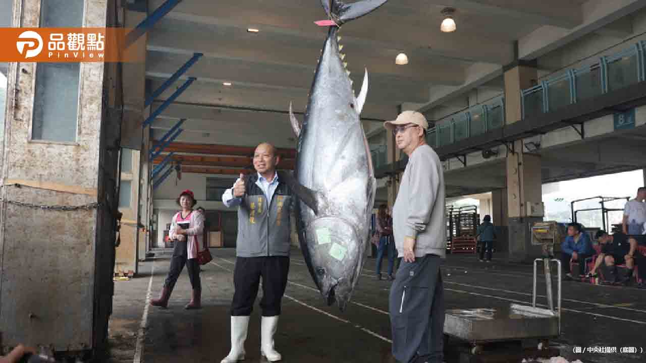 宜蘭勇奪「全國第一鮪」蘇澳籍漁船捕獲216公斤黑鮪魚 宜蘭勇奪「全國第一鮪」蘇澳籍漁船捕獲216公斤黑鮪魚