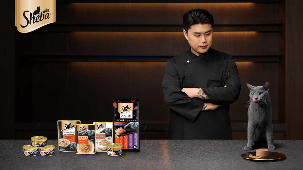 「黑白大廚」冠軍權聖晙化身貓奴 攜手Sheba希寶推薦鮮肉慕斯主食新品 「黑白大廚」冠軍權聖晙化身貓奴 攜手Sheba希寶推薦鮮肉慕斯主食新品