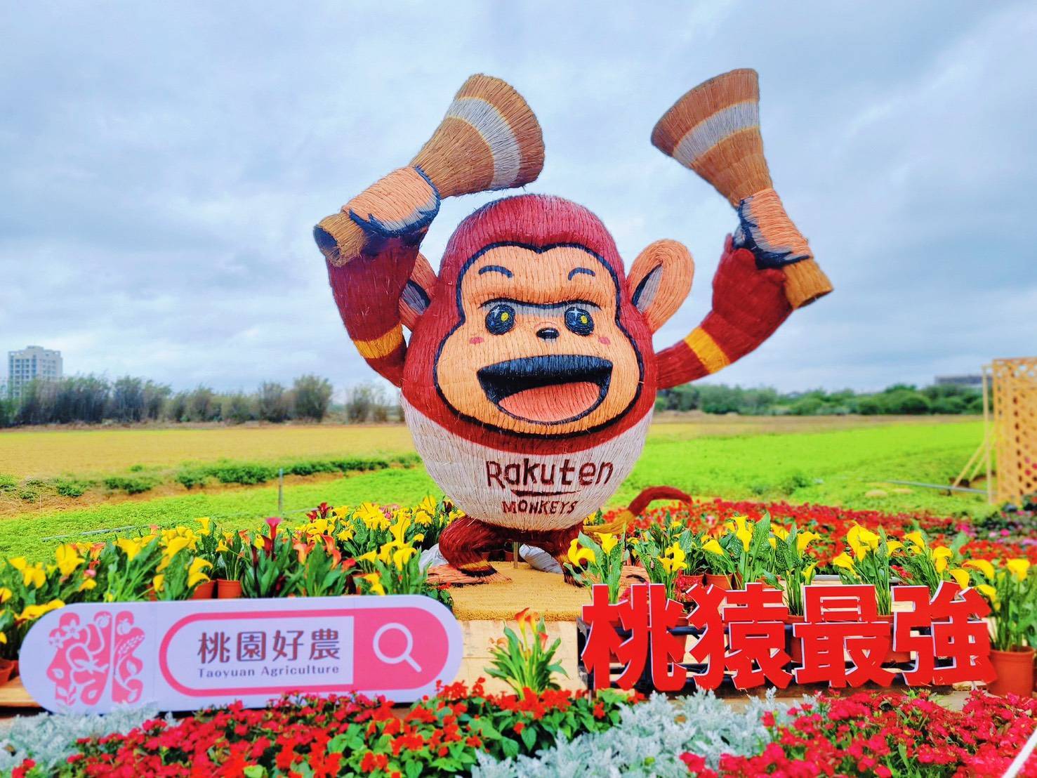 桃園彩色海芋季展區延長開放至4/13 農業局邀你把握花期參觀 桃園彩色海芋季展區延長開放至4/13 農業局邀你把握花期參觀