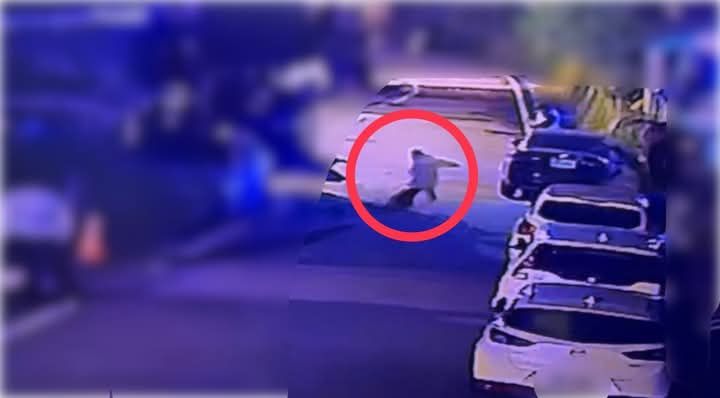 男童遭到犬隻咬傷小腿  吉警積極偵辦釐清案情