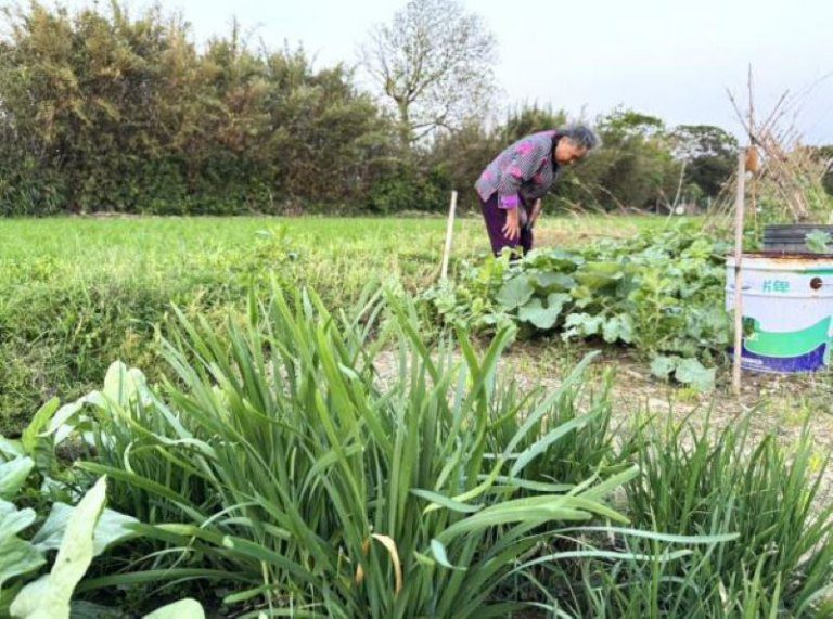 竹縣老農好安心　滿65歲享農保自付額補助