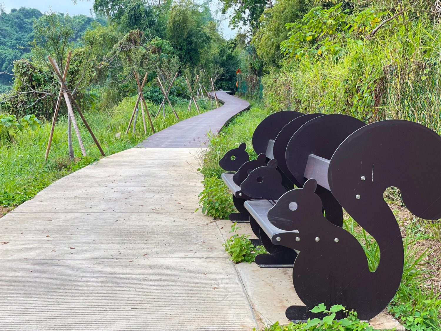 高雄觀音湖驚豔變身 將成觀光新亮點