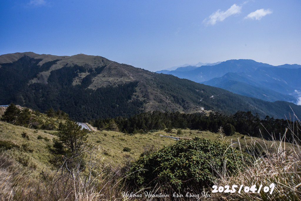 合歡山杜鵑花季4月份到 警方實施高承載管制 合歡山杜鵑花季4月份到 警方實施高承載管制