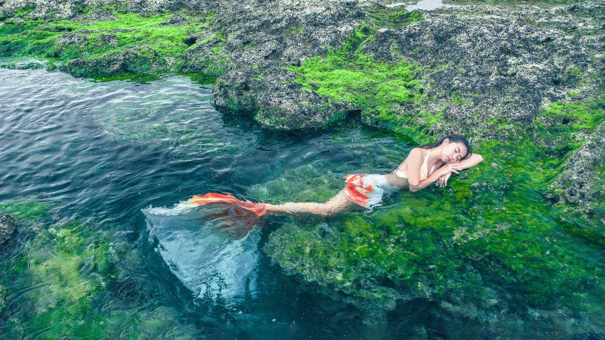 台灣小姐出征國際環保選美賽事 PSK挺身支持永續美力! 台灣小姐出征國際環保選美賽事 PSK挺身支持永續美力!
