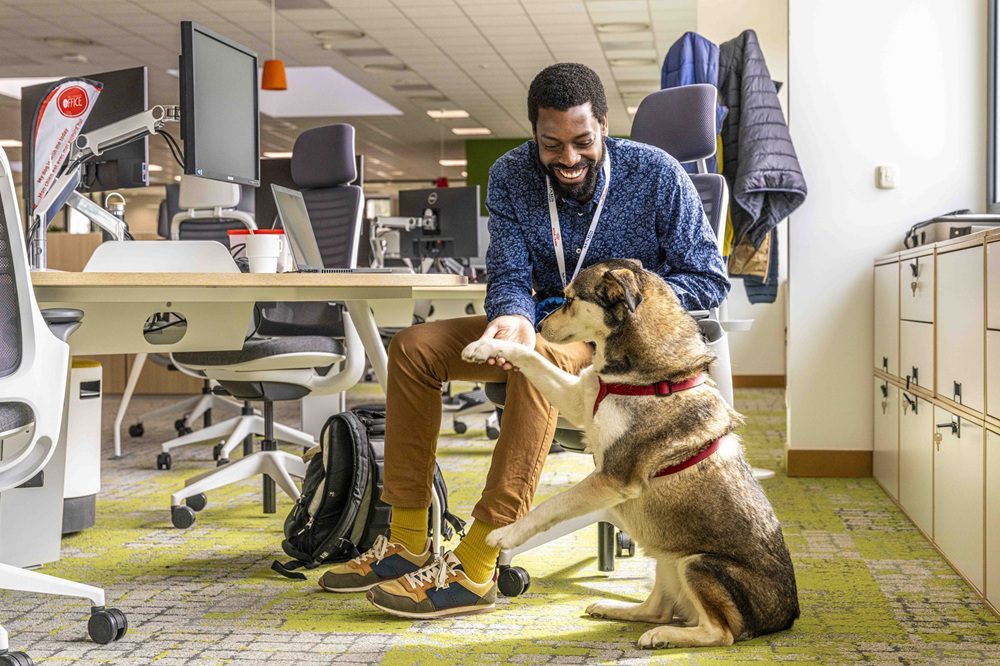 響應寵物日 法國皇家提倡兩大照護關鍵守護貓犬健康與愛一生 響應寵物日 法國皇家提倡兩大照護關鍵守護貓犬健康與愛一生