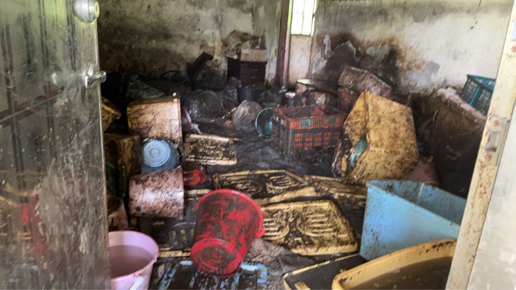 山區屋內不當飼養犬隻　環境惡臭髒亂　致狗狗染病　新北動保處救援並罰9萬8千元