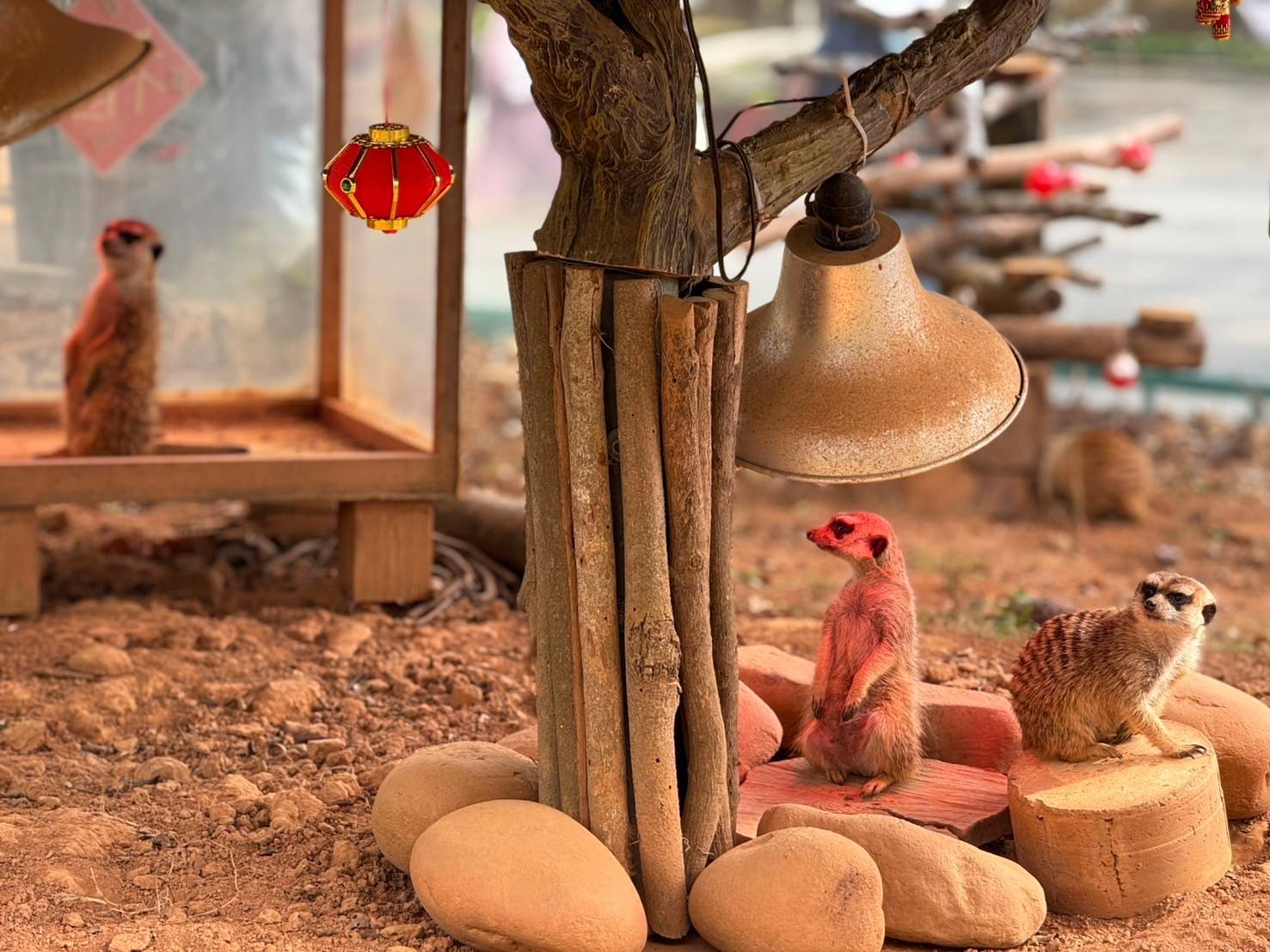 動保人士擅闖非公開區域錄影被判刑 六福村：感謝法官公正審判