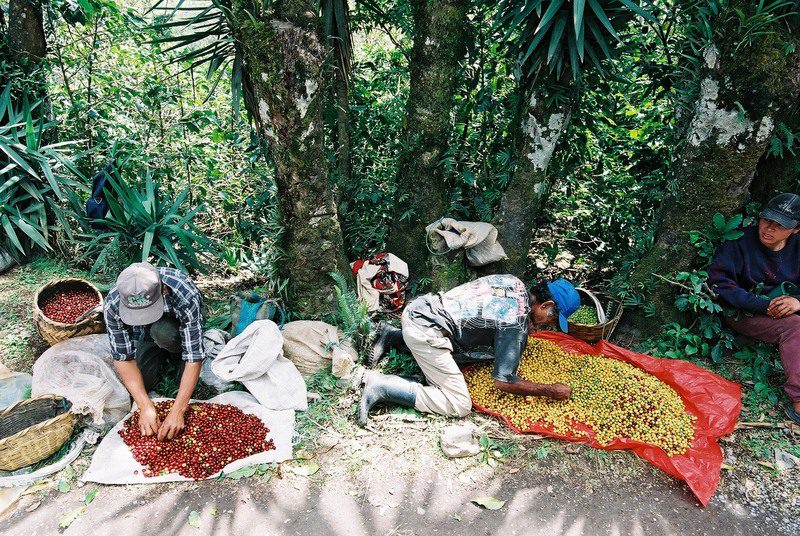 2002年的十字架 2002年的十字架