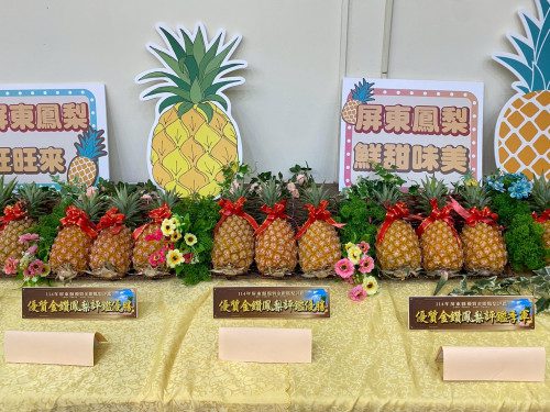 114年屏東縣優質金鑽鳳梨評鑑 揭曉冠軍得主