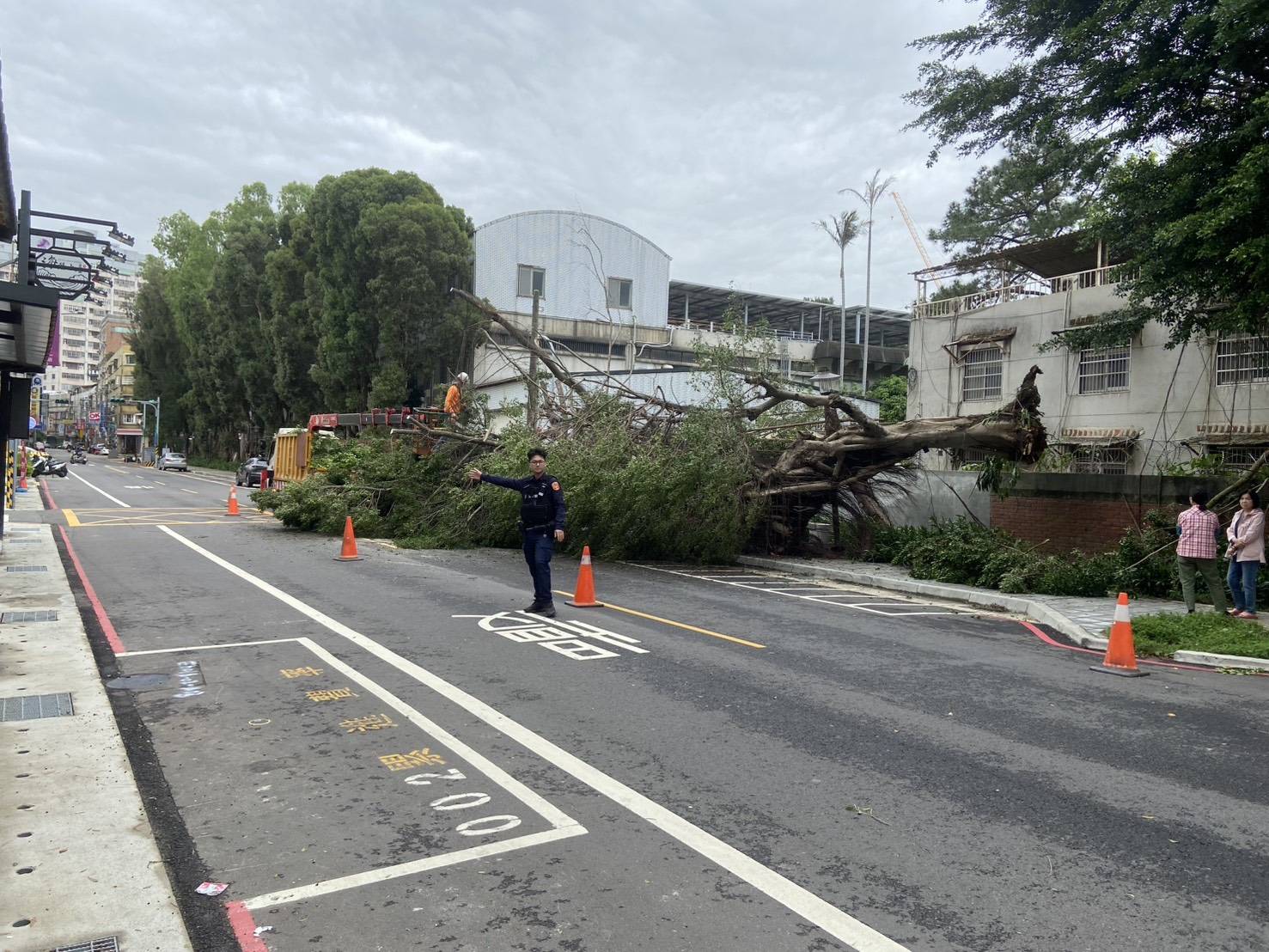 暴雨來襲造成路樹倒塌 桃警封鎖路段確保行車安全