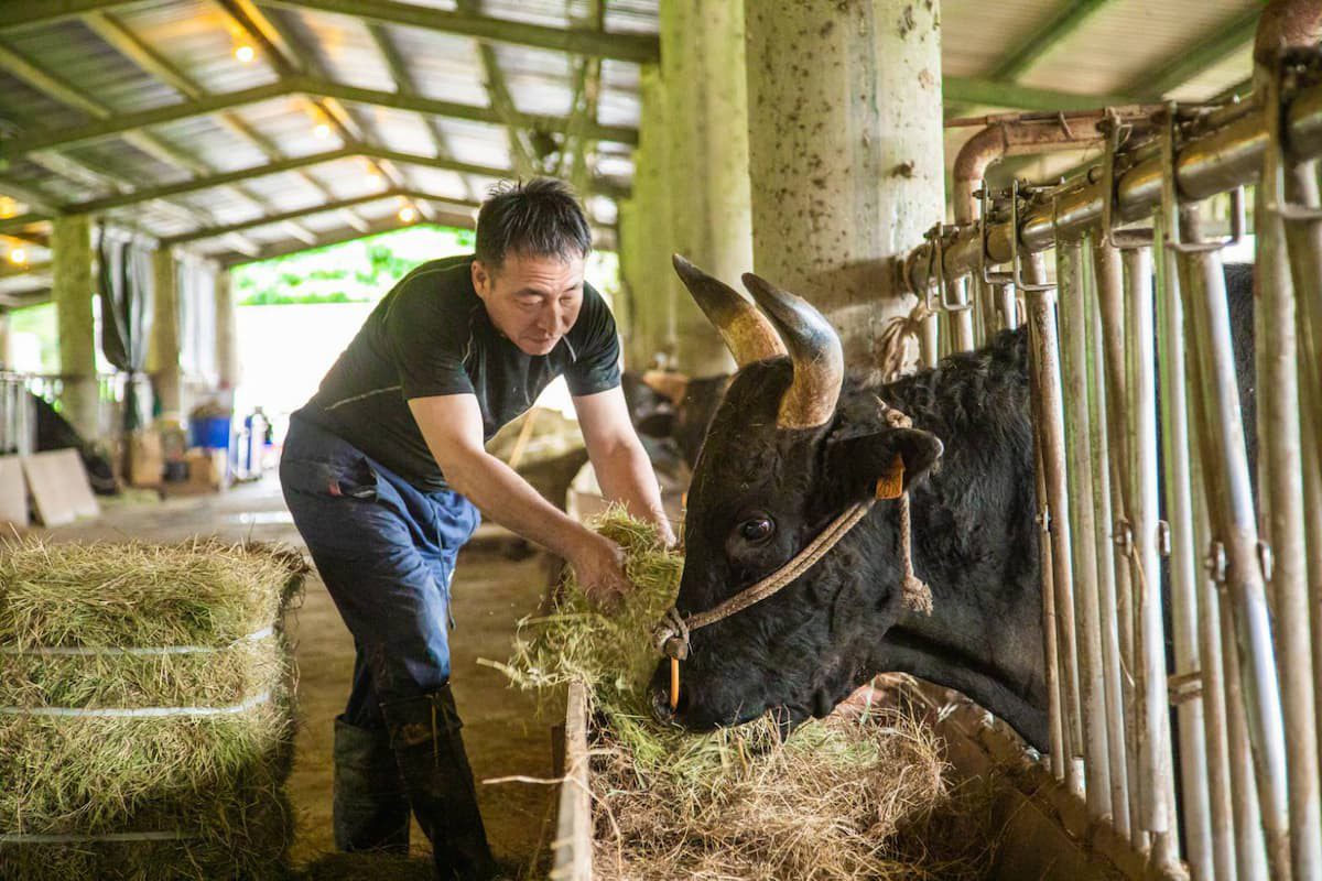 「源興牛」驚艷上市　台灣和牛掀起市場熱潮