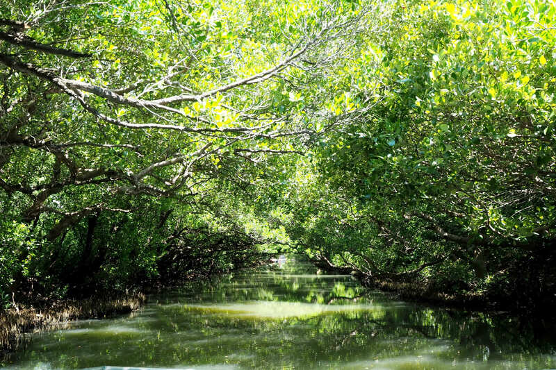 台南旅遊網Q1熱搜榜揭密： 高雄與台北市民最愛台南