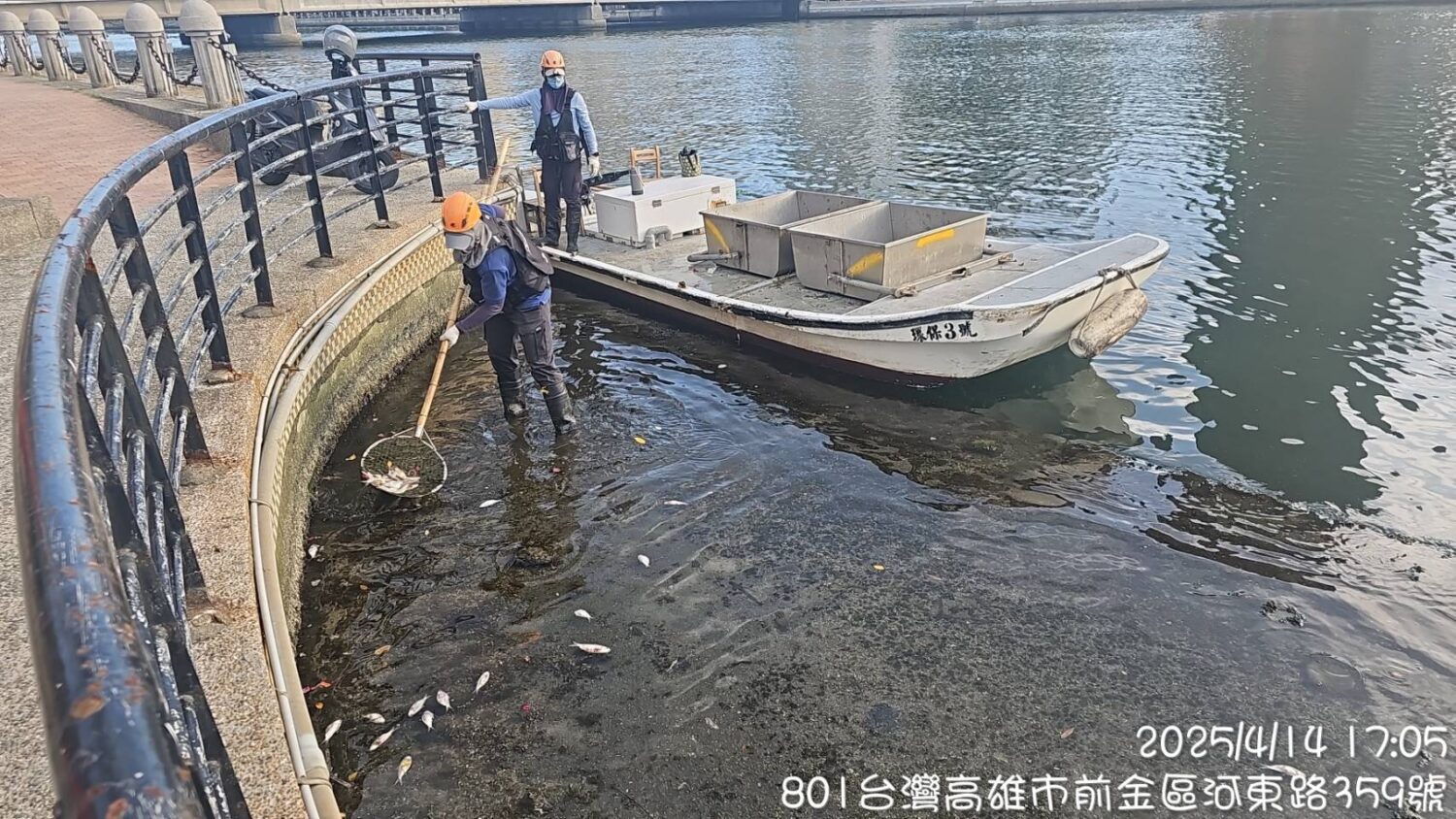 近日愛河死魚漂浮 高市環保局已清除打撈完竣