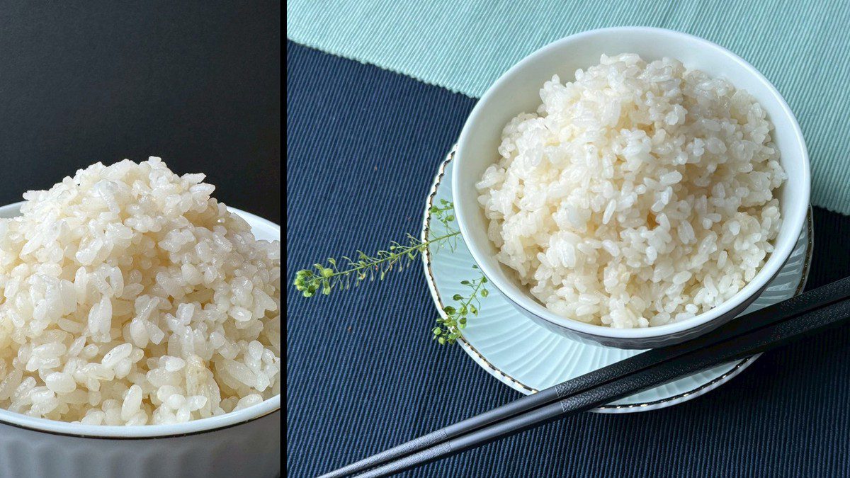 跟著營養師吃好米！台稉16號「預熟米」好吃、營養又健康！