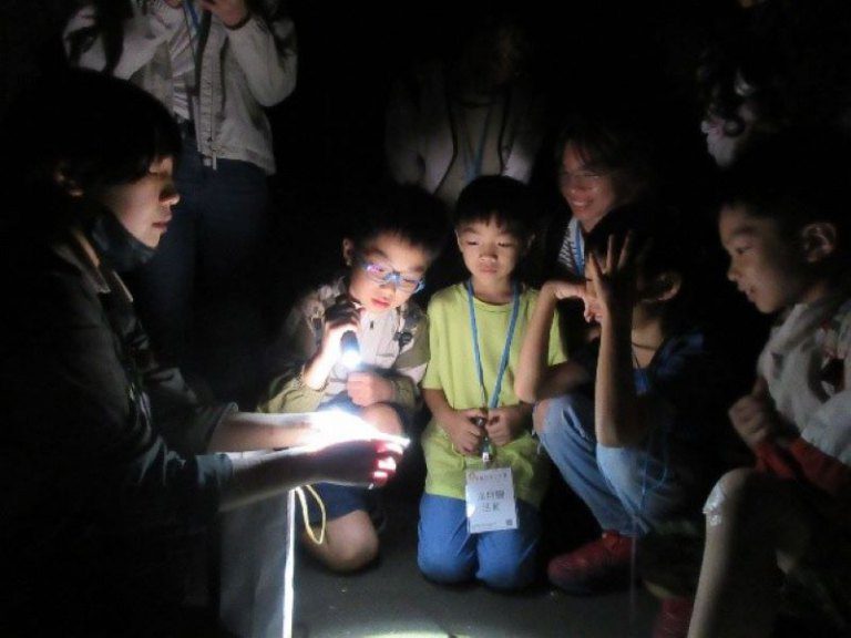 火金姑亮相滿月圓 點亮夜間璀璨森林 火金姑亮相滿月圓 點亮夜間璀璨森林