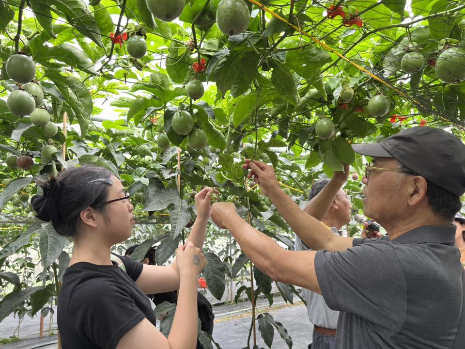 屏東「黎尚往來」農村體驗日 品味產地到餐桌的鮮美旅程