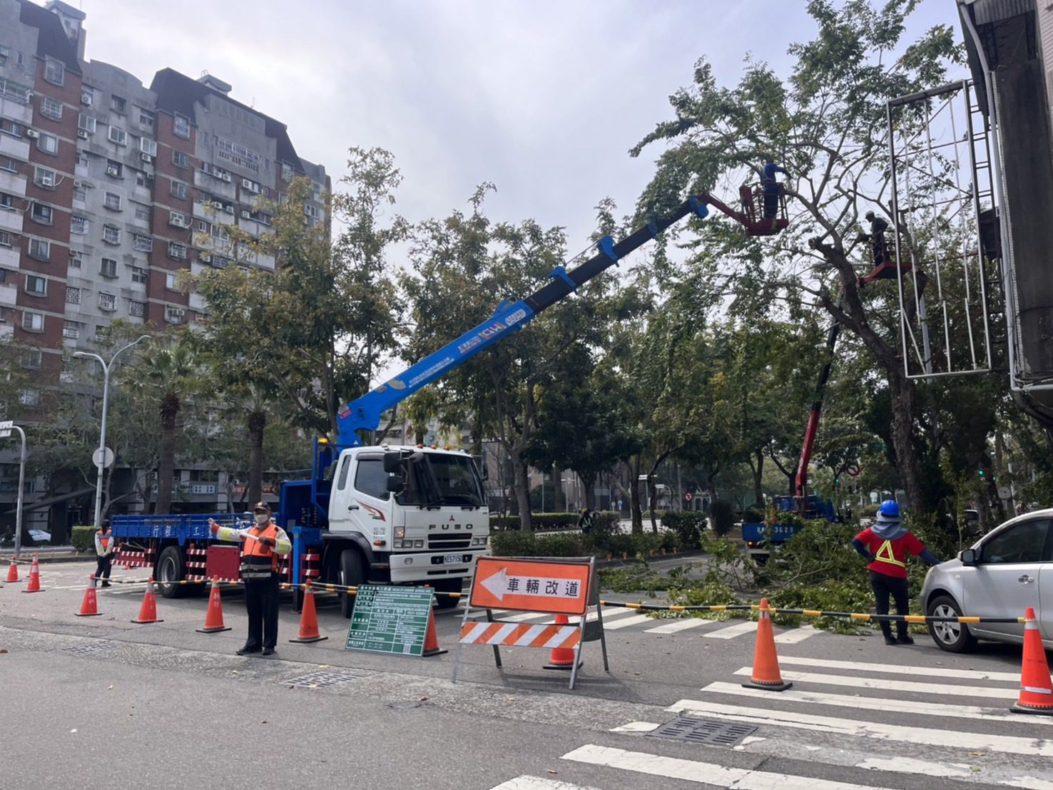 迎戰汛期強風豪雨！　中市建設局將修剪萬株樹木 全面強化都市防災網