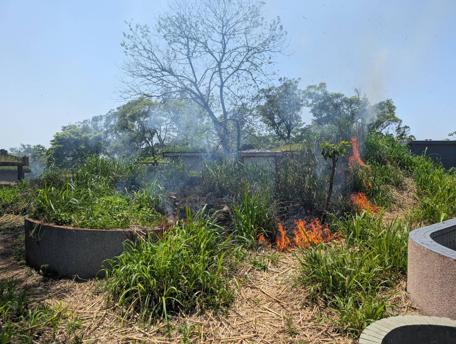 大溪墓地火警！7旬翁滅火摔倒燒燙傷 失去呼吸心跳送醫搶救