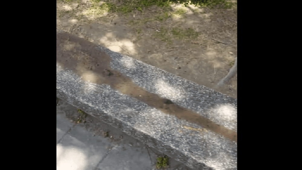 扯！桃林鐵路石椅被塗大便 議員懷疑與罷免有關