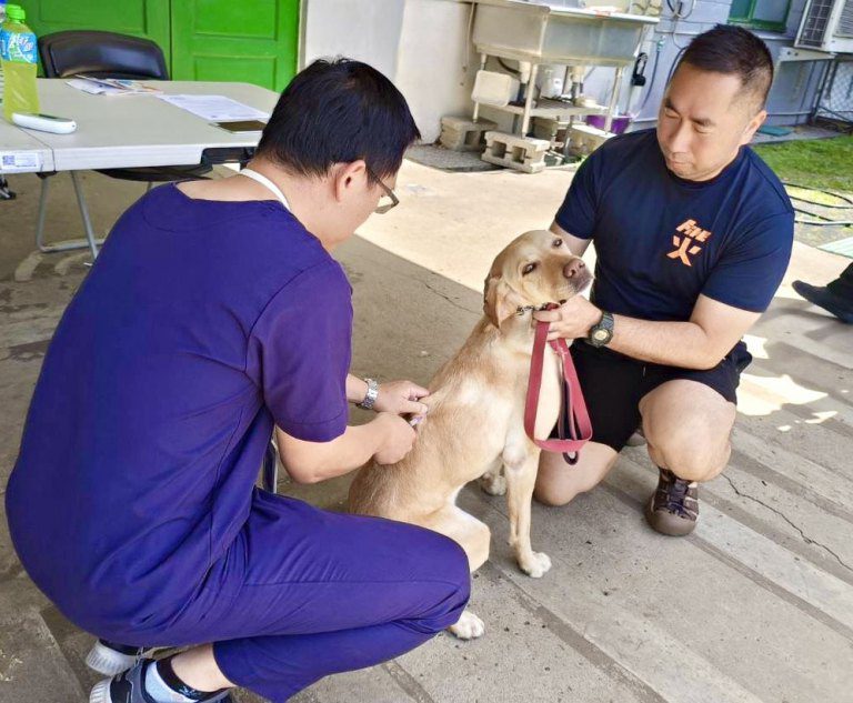 毛英雄健康出任務！　動保處提供搜救犬與警犬疫苗保護