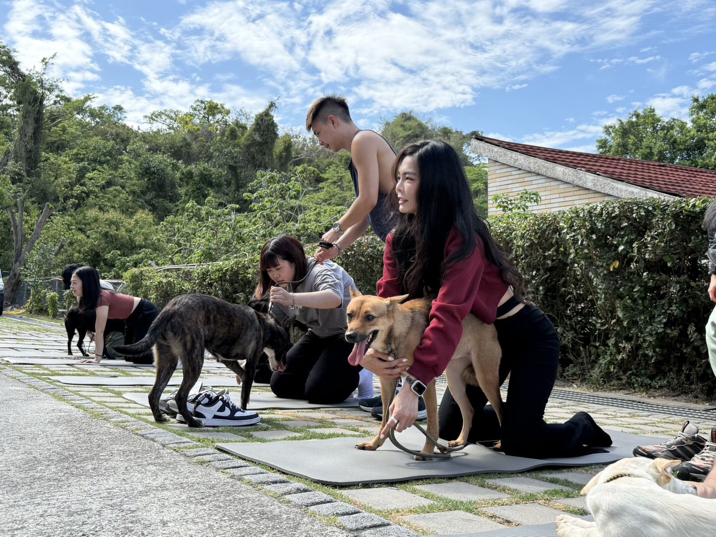 高雄動保處攜手企業落實ESG 首創「犬貓治癒日」-狗狗健身趴！