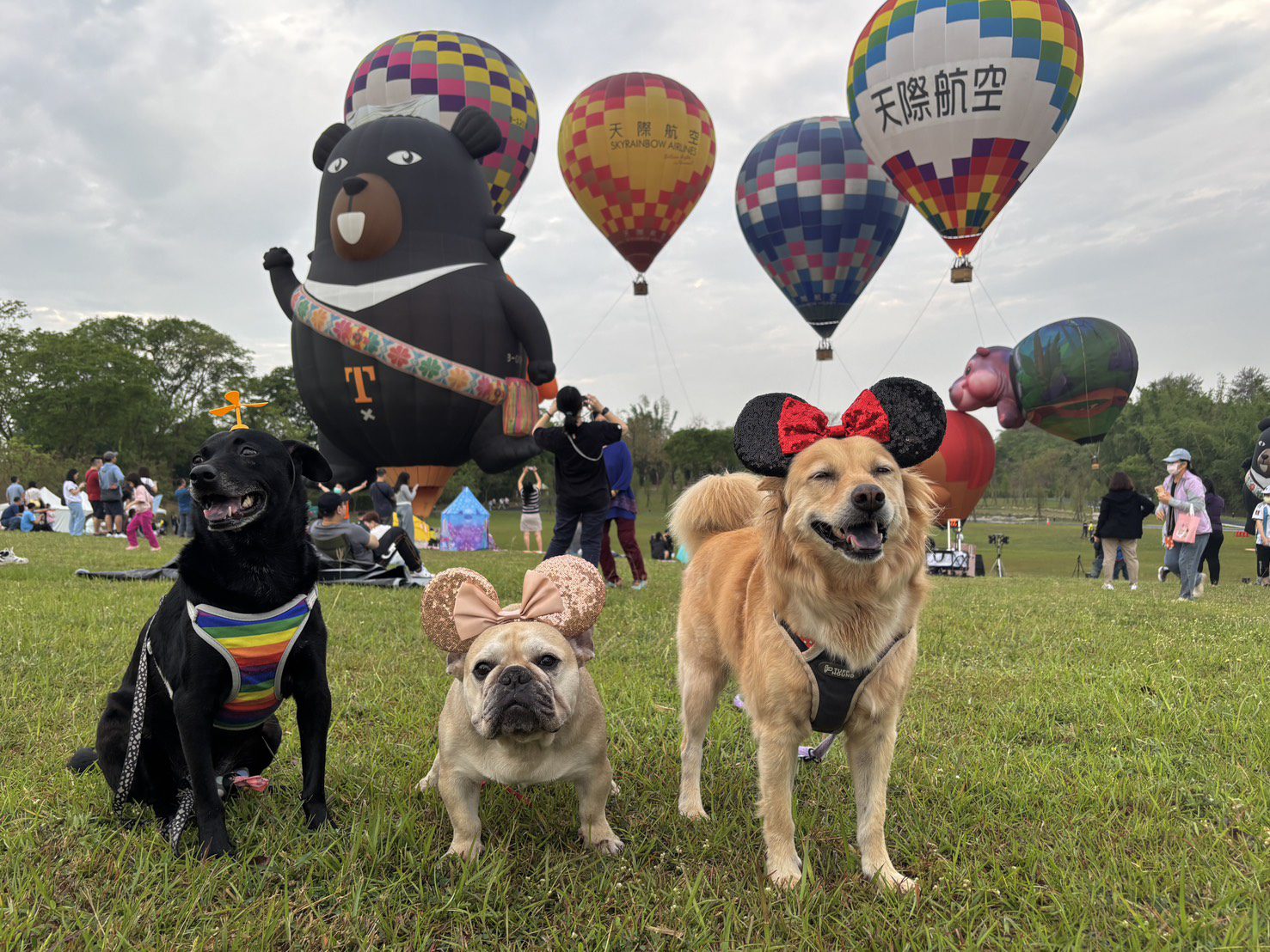 西拉雅森活節熱氣球活動開放體驗 首日逾250人次搭乘