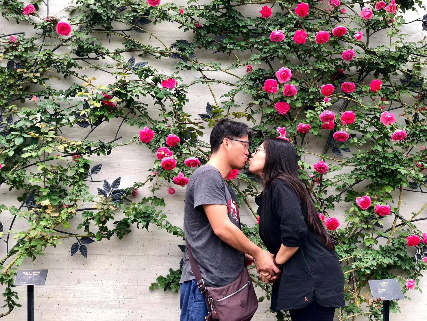 「三高」科技業主管卻頻分手?只因堅持婚後做這件事 「三高」科技業主管卻頻分手?只因堅持婚後做這件事