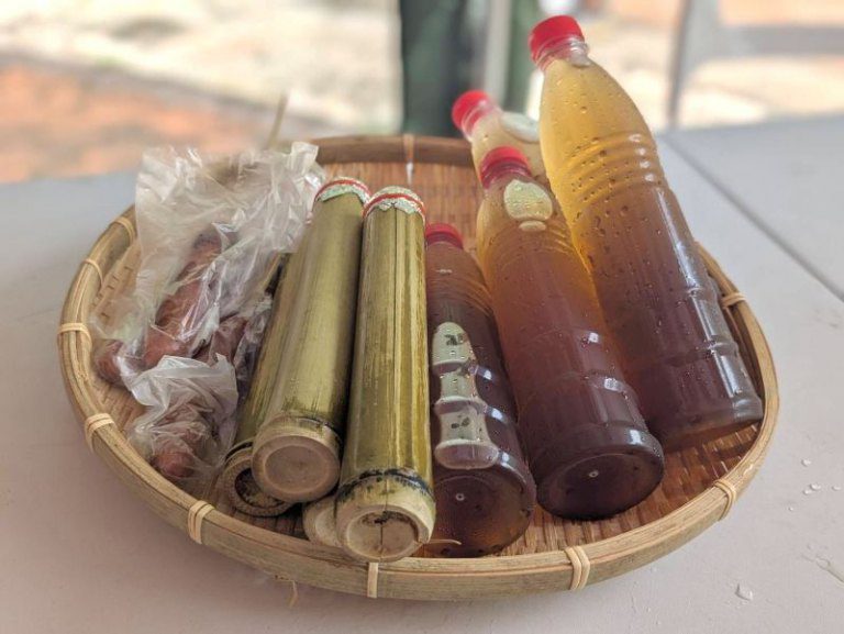 台灣好行觀霧線走訪五峰　竹縣邀民眾體驗泰雅獵人文化與自然之美